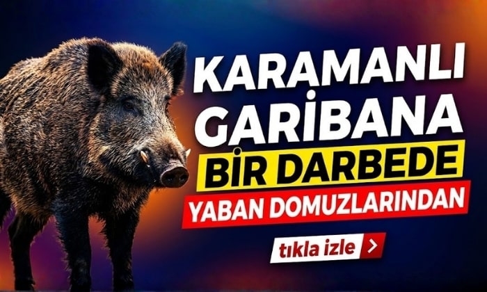 Garibana Bir Darbede Domuzlardan!