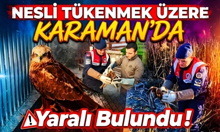 Karaman’da yaralı Halde Bulundu!