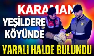 Karaman’da Yaralı Halde Bulundu!