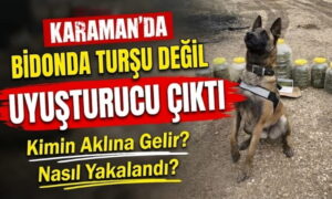 Bidonlarda Turşu Değil Uyuşturucu Çıktı