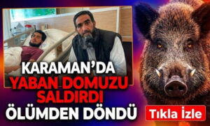 Karaman’da Gence Domuz Saldırdı
