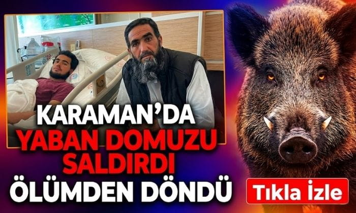 Karaman’da Gence Domuz Saldırdı