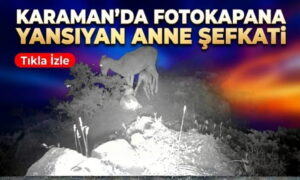 Karaman’da Anne Şefkati